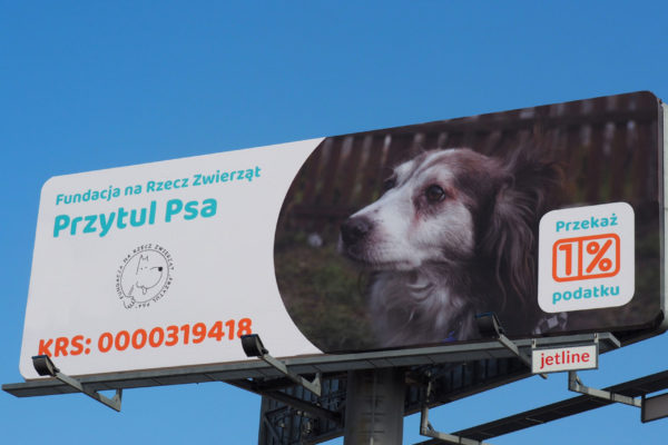 Przytul Psa